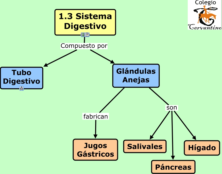 Sistema Digestivo 9290